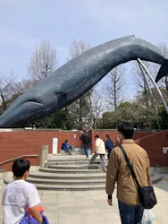 国立科学博物館に投稿された画像(2026/3/22)