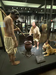 国立科学博物館に投稿された画像(2026/3/22)