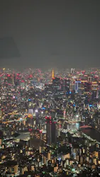 東京スカイツリーに投稿された画像(2026/3/22)