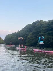 石垣島 ウミガメシュノーケル マリンショップHAPPYに投稿された画像(2026/3/23)