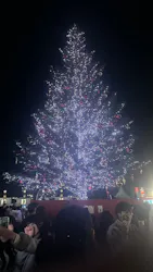 Christmas Market in 横浜赤レンガ倉庫 2025に投稿された画像(2026/3/23)