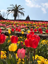 レオマリゾートに投稿された画像(2026/3/23)