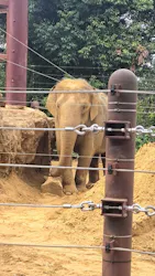 恩賜上野動物園に投稿された画像(2026/3/23)