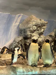 名古屋港水族館に投稿された画像(2026/3/23)