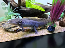 サンシャイン水族館に投稿された画像(2026/3/23)