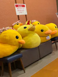 天然温泉 ロテン・ガーデンに投稿された画像(2026/3/25)