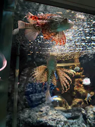 名古屋港水族館に投稿された画像(2026/3/26)