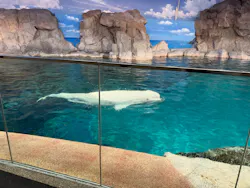 名古屋港水族館に投稿された画像(2026/3/26)