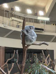 多摩動物公園に投稿された画像(2026/3/26)