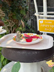 多摩動物公園に投稿された画像(2026/3/26)