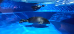 サンシャイン水族館に投稿された画像(2026/3/26)