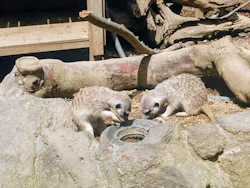 伊豆シャボテン動物公園に投稿された画像(2026/3/27)