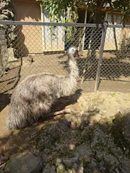 伊豆シャボテン動物公園に投稿された画像(2026/3/27)