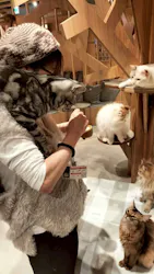 猫カフェモカ 梅田店に投稿された画像(2026/3/27)