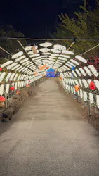 伊豆高原グランイルミに投稿された画像(2026/3/27)