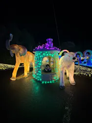 伊豆高原グランイルミに投稿された画像(2026/3/27)