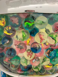 福井県立恐竜博物館に投稿された画像(2026/3/27)