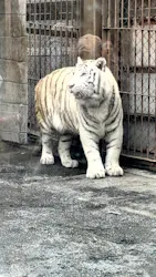 東武動物公園に投稿された画像(2026/3/28)