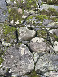 松江城に投稿された画像(2026/3/28)