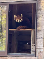 千葉市動物公園に投稿された画像(2026/3/28)