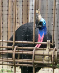 東武動物公園に投稿された画像(2026/3/28)