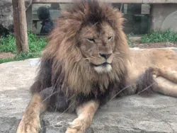 東武動物公園に投稿された画像(2026/3/28)