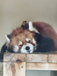 東武動物公園に投稿された画像(2026/3/28)