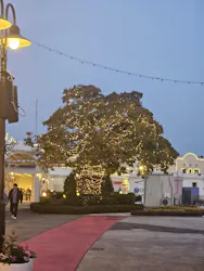 ラグーナテンボス ラグナシアに投稿された画像(2026/3/28)