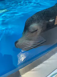 サンシャイン水族館に投稿された画像(2026/3/29)
