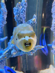 サンシャイン水族館に投稿された画像(2026/3/29)