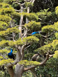伊豆シャボテン動物公園に投稿された画像(2026/3/29)