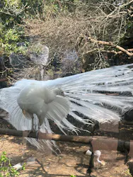 伊豆シャボテン動物公園に投稿された画像(2026/3/29)