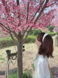 西武園ゆうえんちに投稿された画像(2026/3/29)