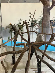 東京動物園協会_多摩動物公園に投稿された画像(2026/3/29)