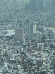 東京スカイツリーに投稿された画像(2026/3/29)