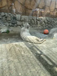 東武動物公園に投稿された画像(2026/3/30)