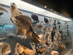 国立科学博物館に投稿された画像(2026/3/30)