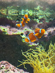 サンシャイン水族館に投稿された画像(2026/3/30)