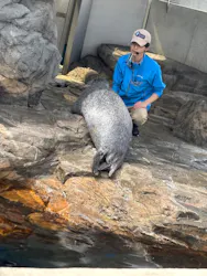 しながわ水族館に投稿された画像(2026/3/30)