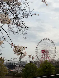 鈴鹿サーキットに投稿された画像(2026/3/30)