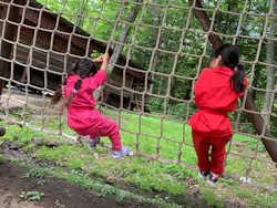 忍者の里 チビッ子忍者村に投稿された画像(2026/3/30)