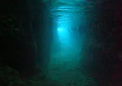 武藤潜水に投稿された画像(2026/3/31)