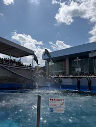 大分マリーンパレス水族館 「うみたまご」に投稿された画像(2026/3/31)