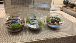 カルチャースクールいろはに投稿された画像(2026/3/31)