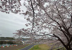 鈴鹿サーキットに投稿された画像(2026/4/1)