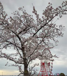 鈴鹿サーキットに投稿された画像(2026/4/1)