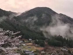 美輝の里に投稿された画像(2026/4/1)