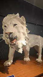 日本サンゴセンター宝石珊瑚資料館「35の杜」に投稿された画像(2026/4/1)