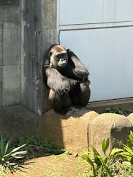 千葉市動物公園に投稿された画像(2026/4/3)