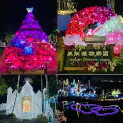 美らヤシパークオキナワ・東南植物楽園に投稿された画像(2026/4/4)